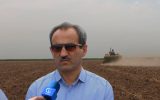 کشت ۲۰۰ هکتار کلزا در کشت و صنعت امام خمینی(ره) شوشتر