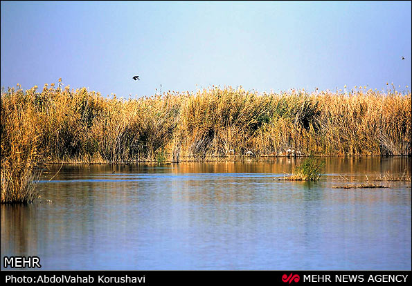 تنوع در گردشگری را یک جا در خوزستان تجربه کنید