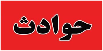 دختر بچه 3ساله ، مادر و مادربزرگش اعضای باند سرقت بودند/ سرقت را از خانوادهام به ارث بردهام! دختر بچه 3ساله ، مادر و مادربزرگش اعضای باند سرقت بودند/ سرقت را از خانوادهام به ارث بردهام!