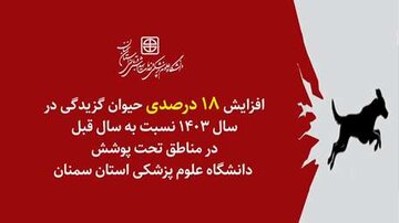 افزایش ۱۸ درصدی حیوان گزیدگی در سال ۱۴۰۳ نسبت به سال قبل در مناطق تحت پوشش دانشگاه علوم پزشکی استان سمنان افزایش ۱۸ درصدی حیوان گزیدگی در سال ۱۴۰۳ نسبت به سال قبل در مناطق تحت پوشش دانشگاه علوم پزشکی استان سمنان