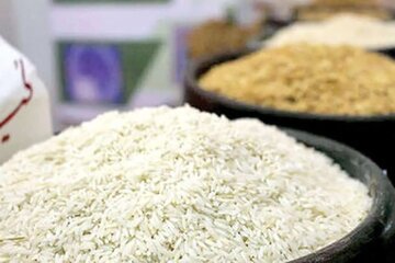 بحران برنج پاکستانی در مشهد/ از کاهش واردات تا گرانی بیسابقه بحران برنج پاکستانی در مشهد/ از کاهش واردات تا گرانی بیسابقه