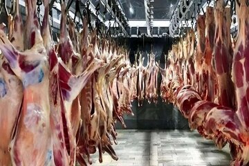 قیمت جدید گوشت قرمز امروز ۱۶ اردیبهشت ۱۴۰۵/ ران گوساله یک میلیون و ۷۰۰ هزار تومان شد + جدول